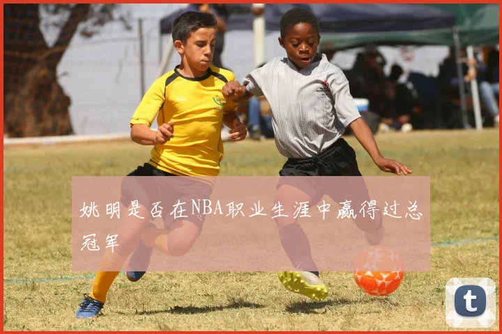 姚明是否在NBA职业生涯中赢得过总冠军