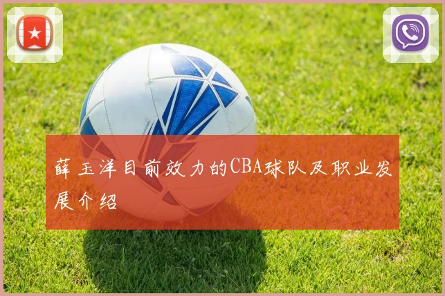 薛玉洋目前效力的CBA球队及职业发展介绍