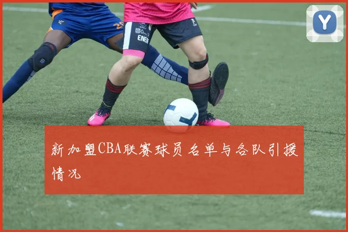 新加盟CBA联赛球员名单与各队引援情况