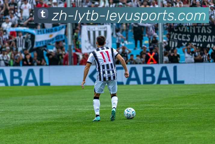 乐鱼体育APP 封面图